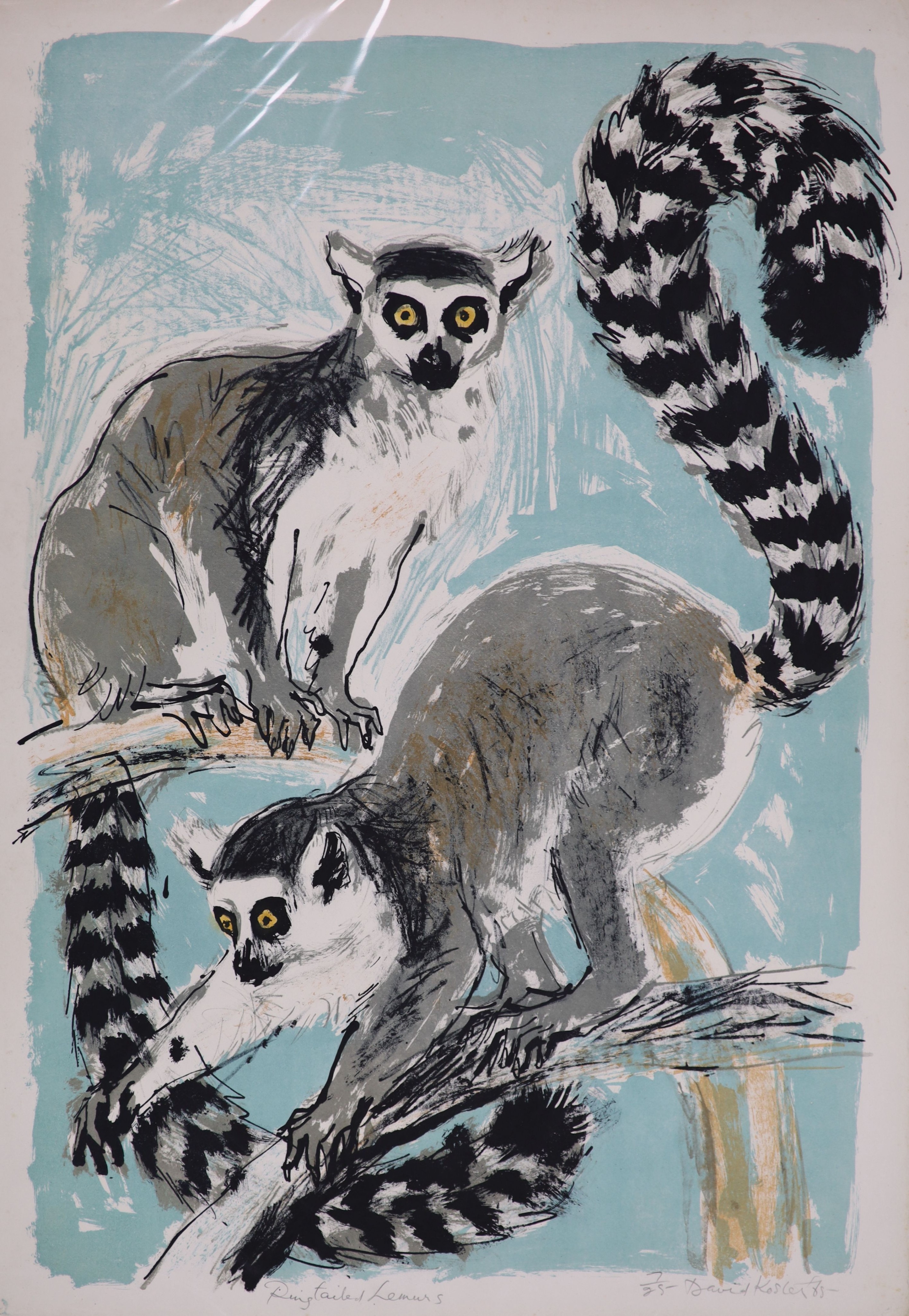 David Koster (1926-2014), four unframed limited edition prints; monkeys, Fennec Foxes, Ringtail Lemurs & Cervals, all signed, largest 80 x 58cm.